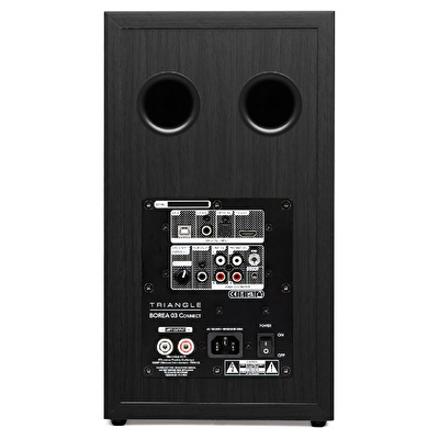 Triangle Borea Connect O3 Black Ash Bluetooth Raf Tipi Hoparlör